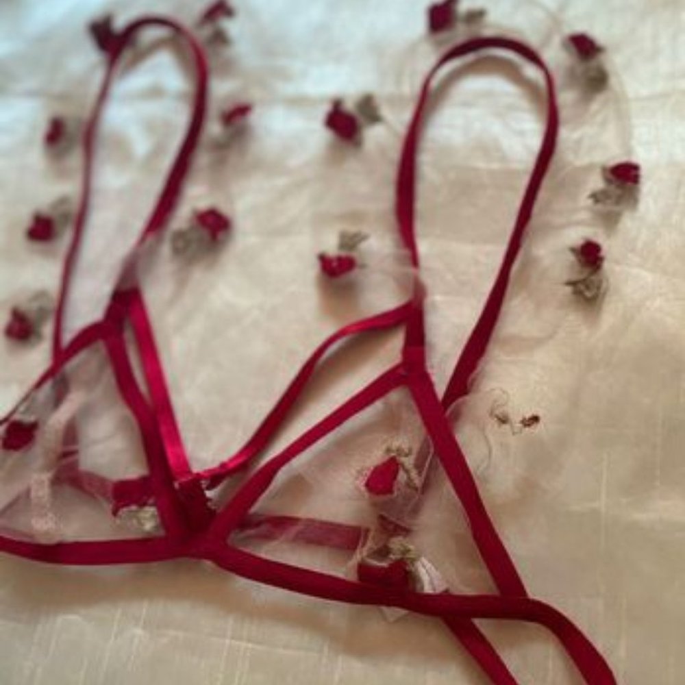 NEW STUNNING RED ROSES EMBROIDERED MESH SHEER LINGERIE SET FOR VALENTINES DAY
